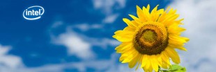 Intel achète 100% d'électricité verte !