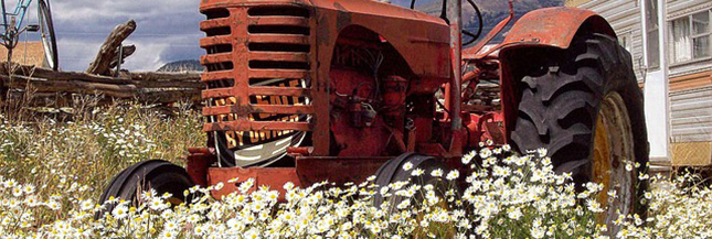 Pesticides, Pesticides,