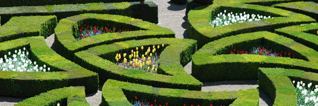 Bio au château de Villandry : le chef-jardinier témoigne