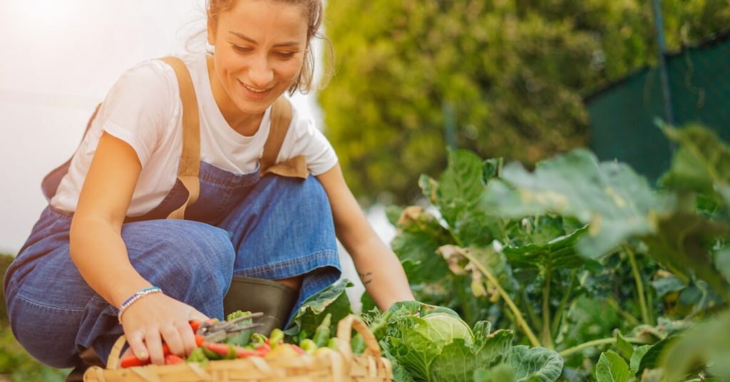 Jardiner de saison : que faire au jardin ce mois ci ?