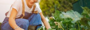 Jardiner de saison : que faire au jardin ce mois ci ?