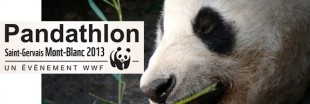 Participez au Pandathlon pour préserver le Mont-Blanc