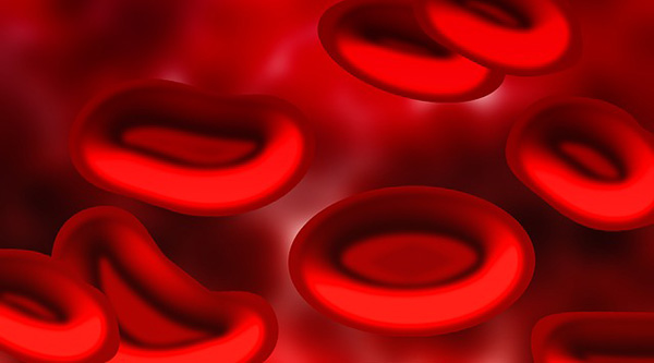 sang-plasma-globules-rouges-aliments-riches-en-fer-02