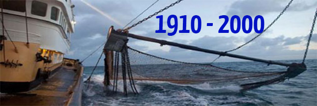 Surpêche – les stocks de poisson de 1910 à 2000