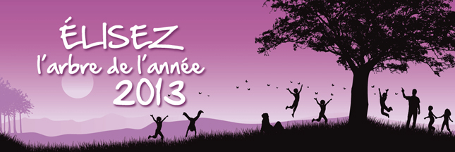 Le plus bel arbre de France 2013, le palmarès