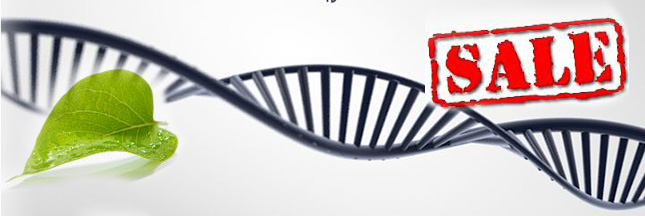 La cour suprême américaine refuse de breveter l’ADN