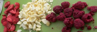 Testés pour vous : les fraises et framboises lyophilisées Testés pour vous : les fraises et framboises lyophilisées