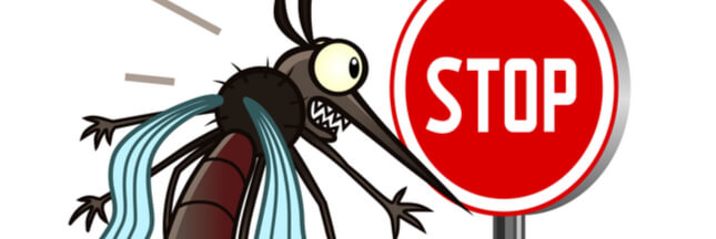 Astuces anti-moustiques : les fiches pratiques