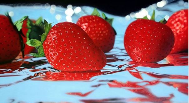 fraises-jason-de-graaf