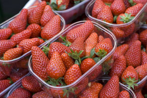 fraises-pestcides-PE