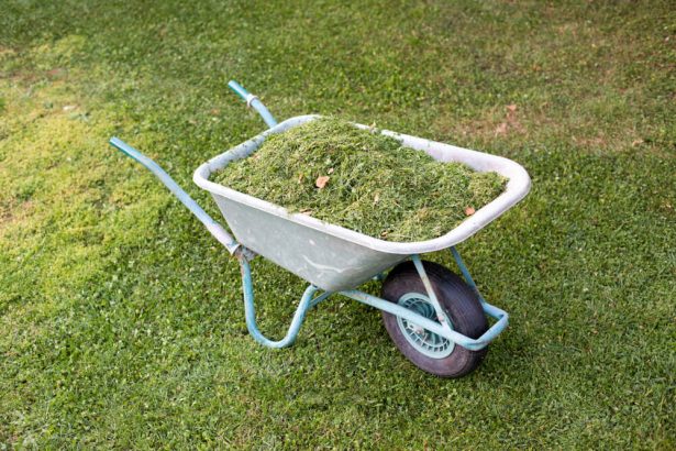 L'herbe tondue est utile au jardin