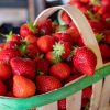 Fraise : bienfaits santé, variétés et astuces pour bien la choisir