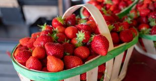 Fraise : bienfaits santé, variétés et astuces pour bien la choisir