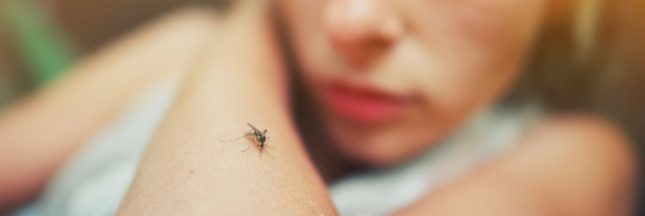 une piqure de moustique