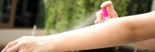 Les produits chimiques anti-moustiques : danger santé
