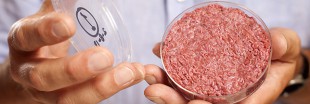 De la viande in-vitro pour l'environnement ?