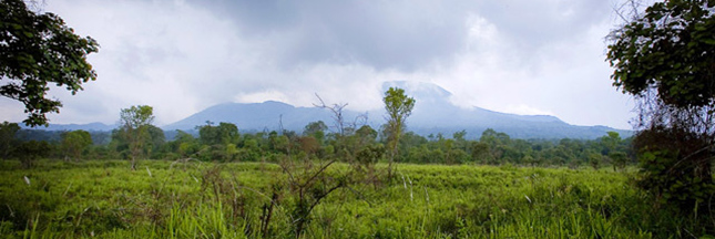 Extraction pétrolière dans le parc des Virunga : la lutte n’est pas finie