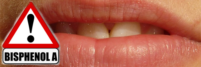 Le bisphénol A perturbe la formation des dents