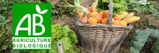 Quand l'Inra démontre la supériorité du bio Quand l'Inra démontre la supériorité du bio