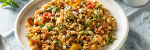 La salade d'épeautre, alternative savoureuse au blé : notre recette de saison