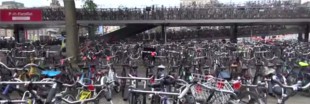 Le règne des vélos à Amsterdam - la vidéo 