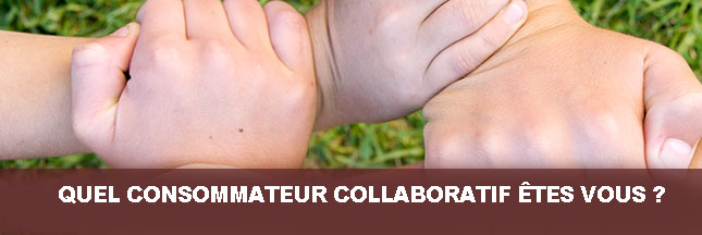 Les 4 types de consommateurs collaboratifs