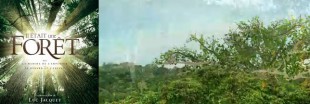 Il était une forêt : l'interview du réalisateur