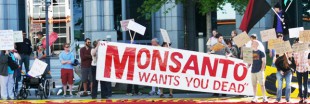 Comment éviter les produits Monsanto ?