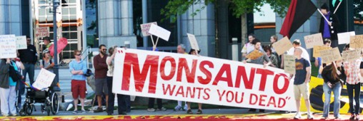 Comment éviter les produits Monsanto ?