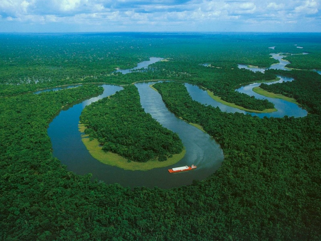 L'Amazonie, le coffre-fort de la biodiversité en danger ?