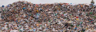 Verre ou plastique recyclé, lequel est le plus écolo ?