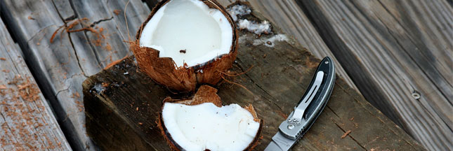 Les 1001 usages de la noix de coco