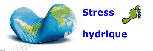 Ressource en eau : les nouvelles cartes mondiales du risque hydrique