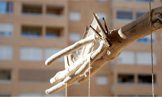 biodiversité balcon