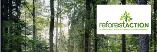 Interview : Reforest'action, des cadeaux pour reboiser