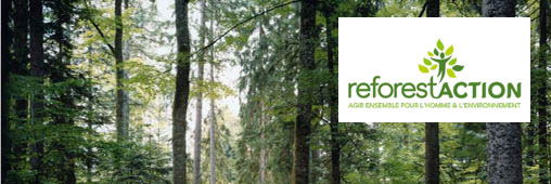 Interview : Reforest’action, des cadeaux pour reboiser