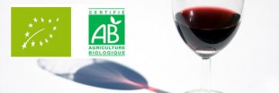 Vin bio, vin traditionnel : quelles différences ?
