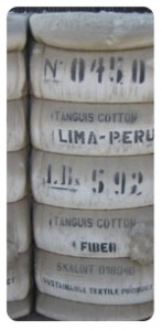 coton Lima