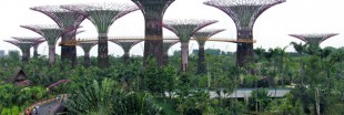 L'incroyable Ecoparc de Singapour est-il un parc écologique ?