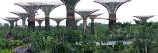 L'incroyable Ecoparc de Singapour est-il un parc écologique ? L'incroyable Ecoparc de Singapour est-il un parc écologique ?