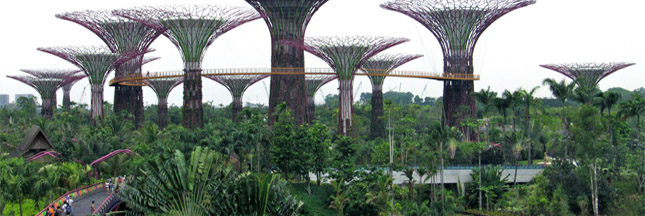 L’incroyable Ecoparc de Singapour est-il un parc écologique ?