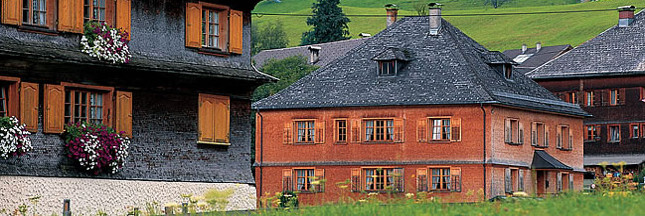 Ecologie, le comté de Vorarlberg fait feu de tout bois