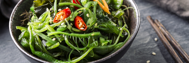 Et si cuisiner les algues était bien plus savoureux que vous ne le pensiez ?