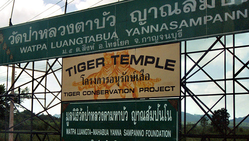 Temple des Tigres