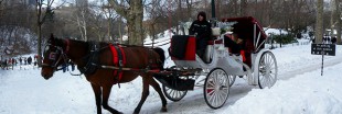 New York annonce la fin de ses mythiques calèches