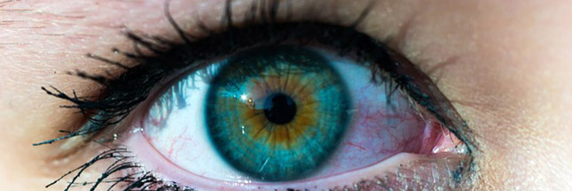 yeux-oeil-regard-bleu-iris-02ban