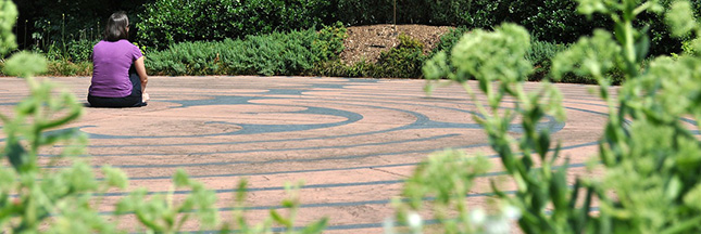 contemplation-jardin-zen-meditation-ban