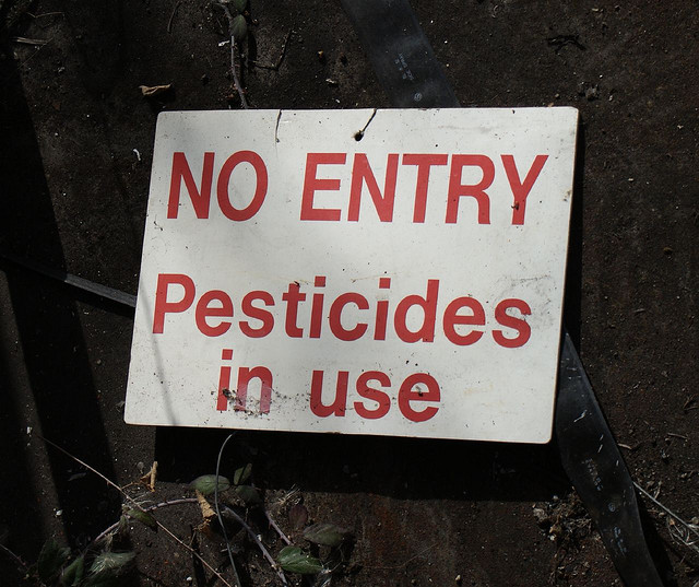 pesticides fruits