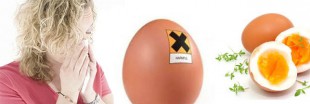 Allergie à l'oeuf : comment y faire face ? Allergie à l'oeuf : comment y faire face ?