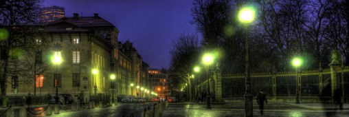 Bientôt des arbres phosphorescents pour éclairer nos rues ?